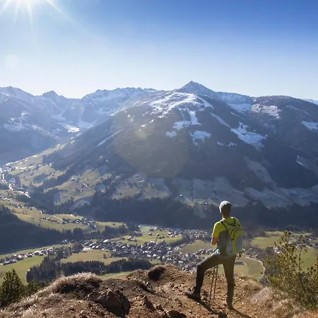 Haus Sonnblick 木屋 *