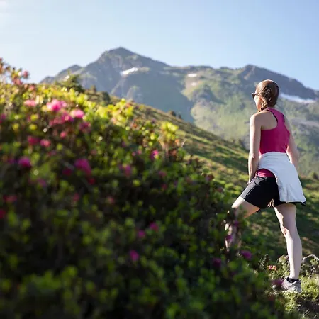 Haus Sonnblick 木屋 *