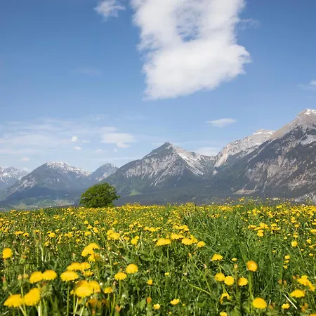 Chalet Haus Sonnblick Reith im Alpbachtal
