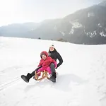 Chalet Haus Sonnblick